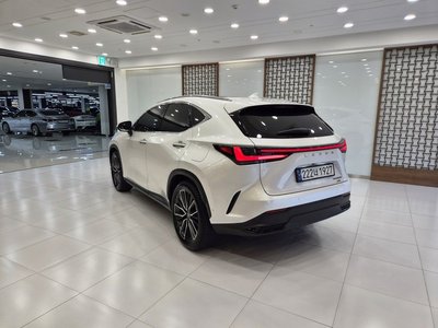 LEXUS NX - 4