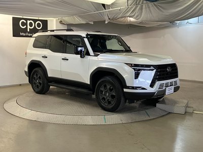 2025 Lexus GX 照片 10