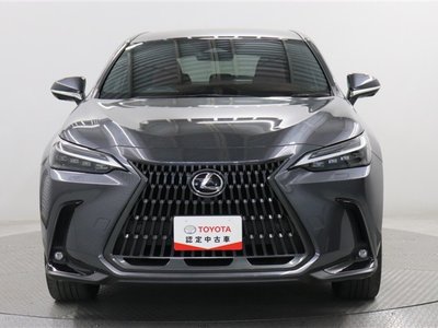 LEXUS NX - 10