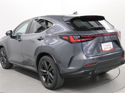 LEXUS NX - 4