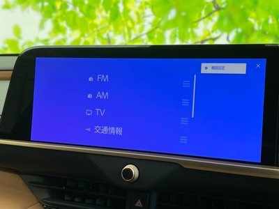 TOYOTA CROWN SPORT - 10