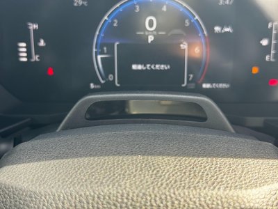 2026 Toyota LAND CRUISER 250 照片 31