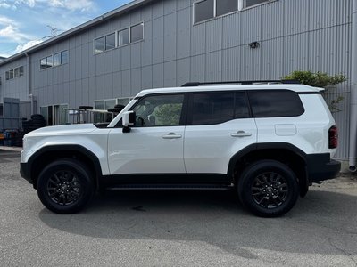 2026 Toyota LAND CRUISER 250 照片 10