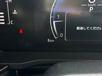 2026 Toyota LAND CRUISER 250 照片 25