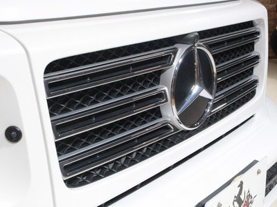 MERCEDES-BENZ G-CLASS - 8