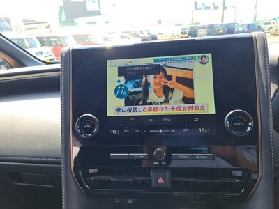 2026 Toyota ALPHARD 缩略图 13