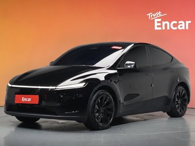 2025 Tesla MODEL Y photo 1