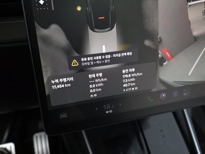 2025 Tesla MODEL Y 缩略图 11