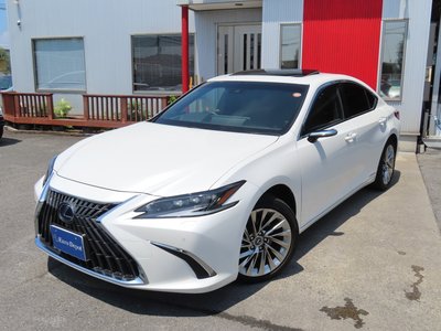 2022 Lexus ES 缩略图 82