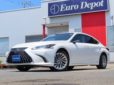 2022 Lexus ES 缩略图 21