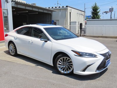 2022 Lexus ES 缩略图 29