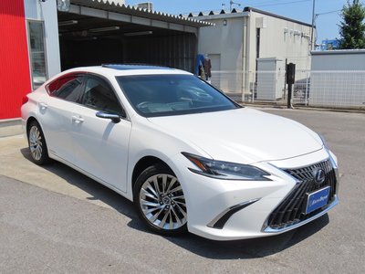 2022 Lexus ES 缩略图 30