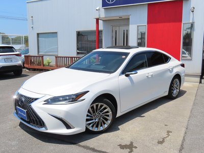 2022 Lexus ES 缩略图 27