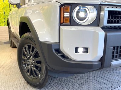 2025 Toyota LAND CRUISER 250 — фото 63
