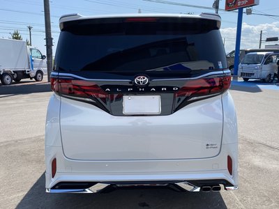 2024 TOYOTA ALPHARD 照片 8