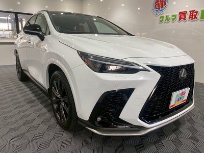 LEXUS NX - 6