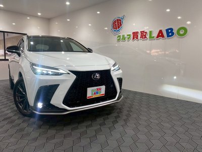 LEXUS NX - 1