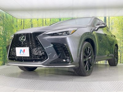 صورة مصغرة 33 لـ 2024 Lexus NX