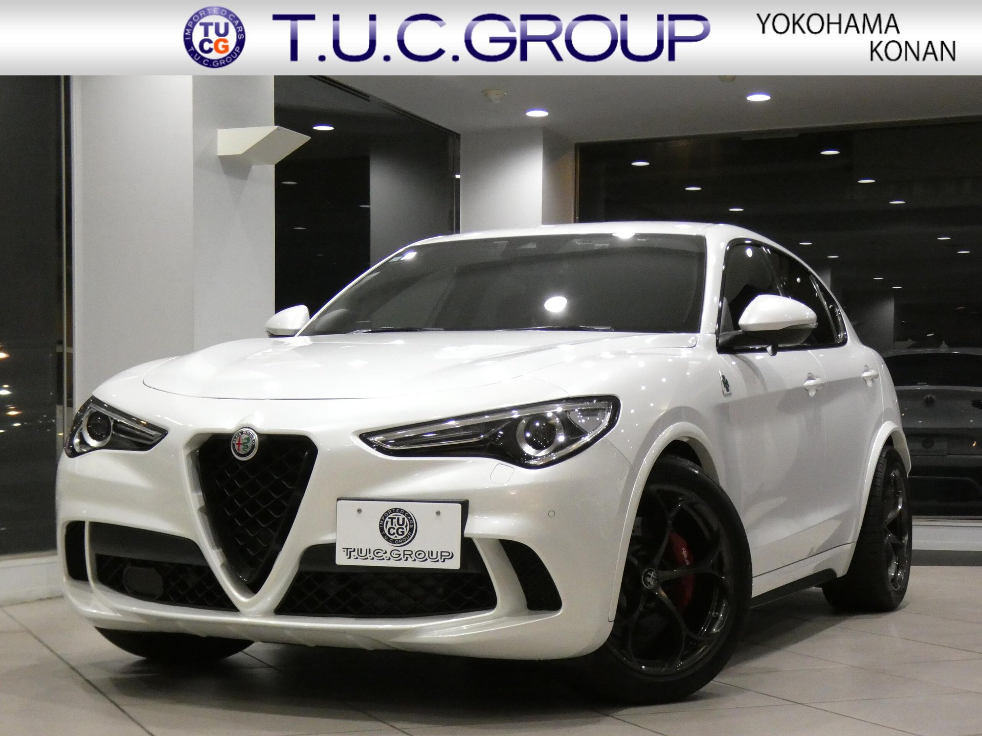 ALFA ROMEO STELVIO - View 1