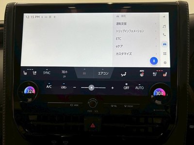 2024 Toyota ALPHARD 缩略图 61