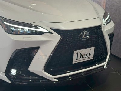 LEXUS NX - 6