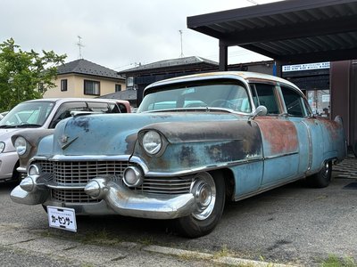 1954 Cadillac FLEETWOOD photo 1
