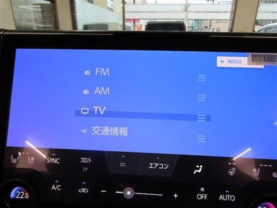 2026 TOYOTA ALPHARD — фото 10