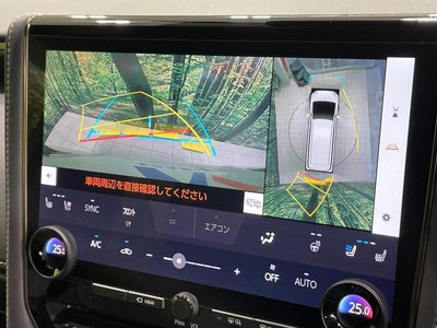 2024 TOYOTA ALPHARD photo 7