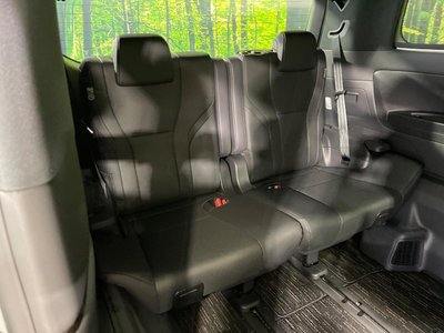2024 TOYOTA ALPHARD photo 10