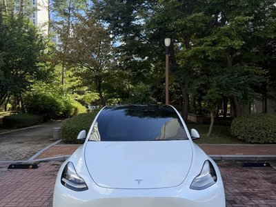 2022 Tesla MODEL Y 照片 2