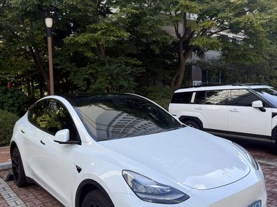 2022 Tesla MODEL Y 照片 1