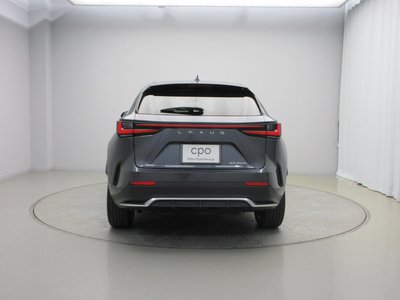 LEXUS NX - 6