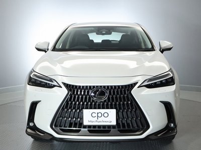 LEXUS NX - 8