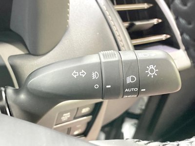 صورة مصغرة 30 لـ 2024 TOYOTA ALPHARD