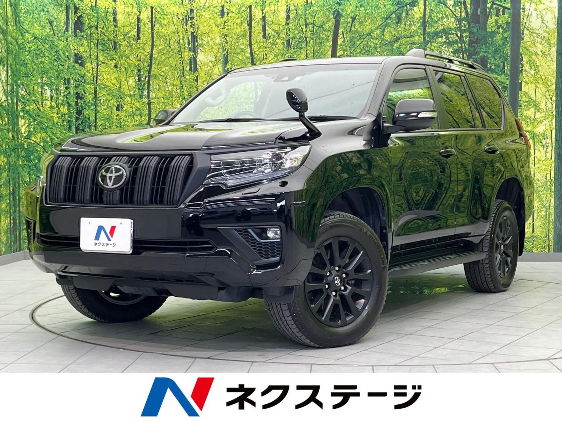 TOYOTA LAND CRUISER PRADO - View 1