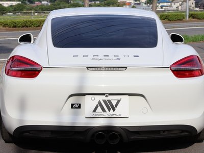 2013 Porsche CAYMAN 照片 10