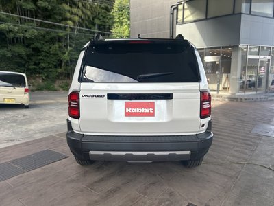 TOYOTA LAND CRUISER 250 - 8