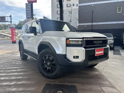 TOYOTA LAND CRUISER 250 - 6