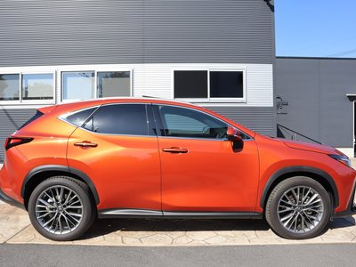 LEXUS NX - 4