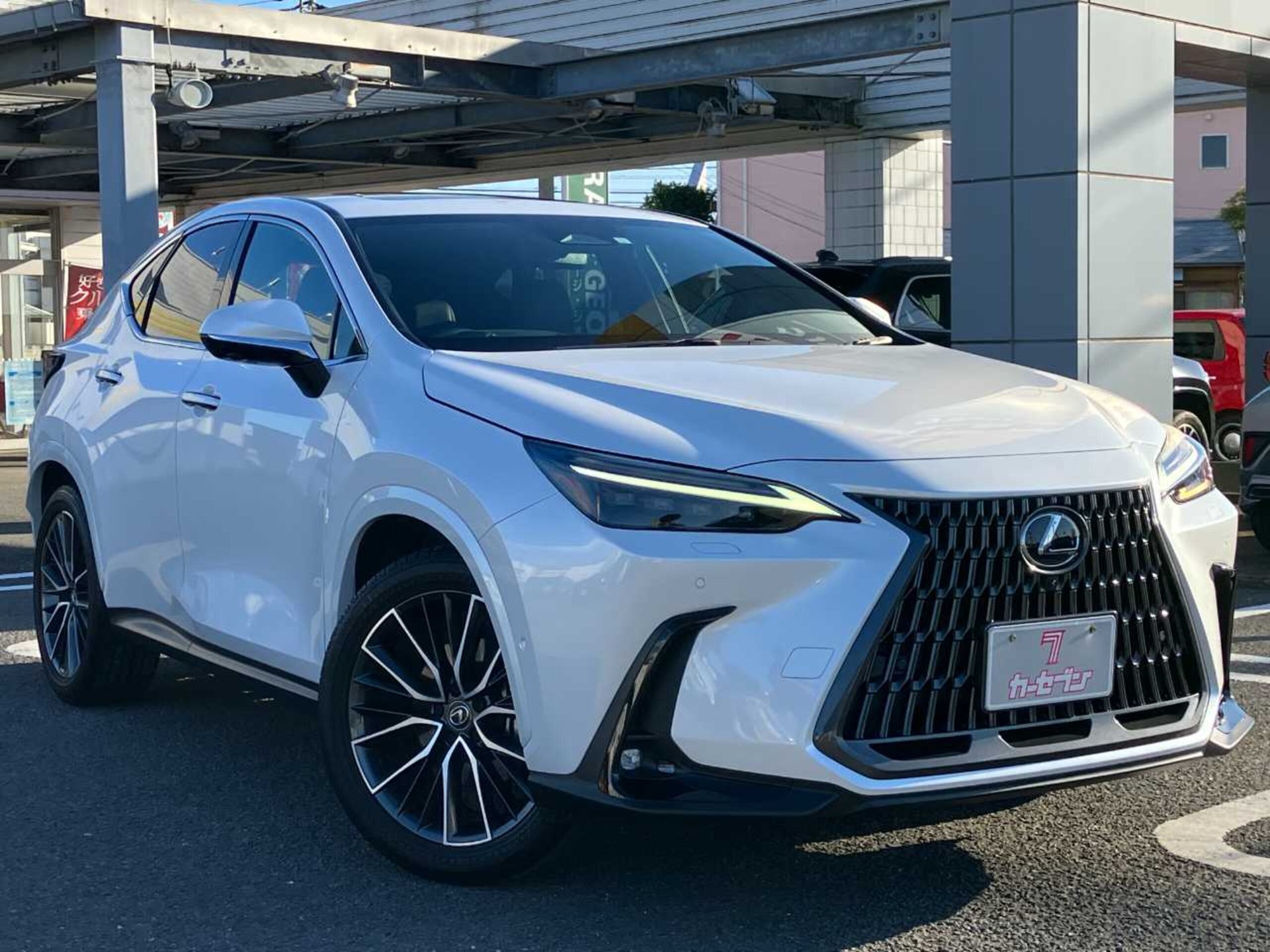 LEXUS NX - View 1