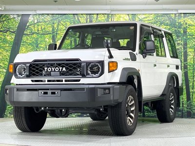2024 Toyota LAND CRUISER 70 — миниатюра 27