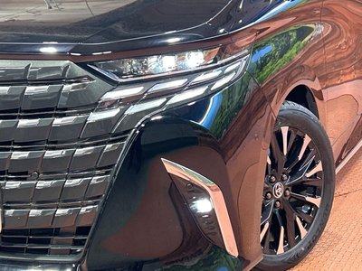 2025 Toyota ALPHARD 缩略图 13