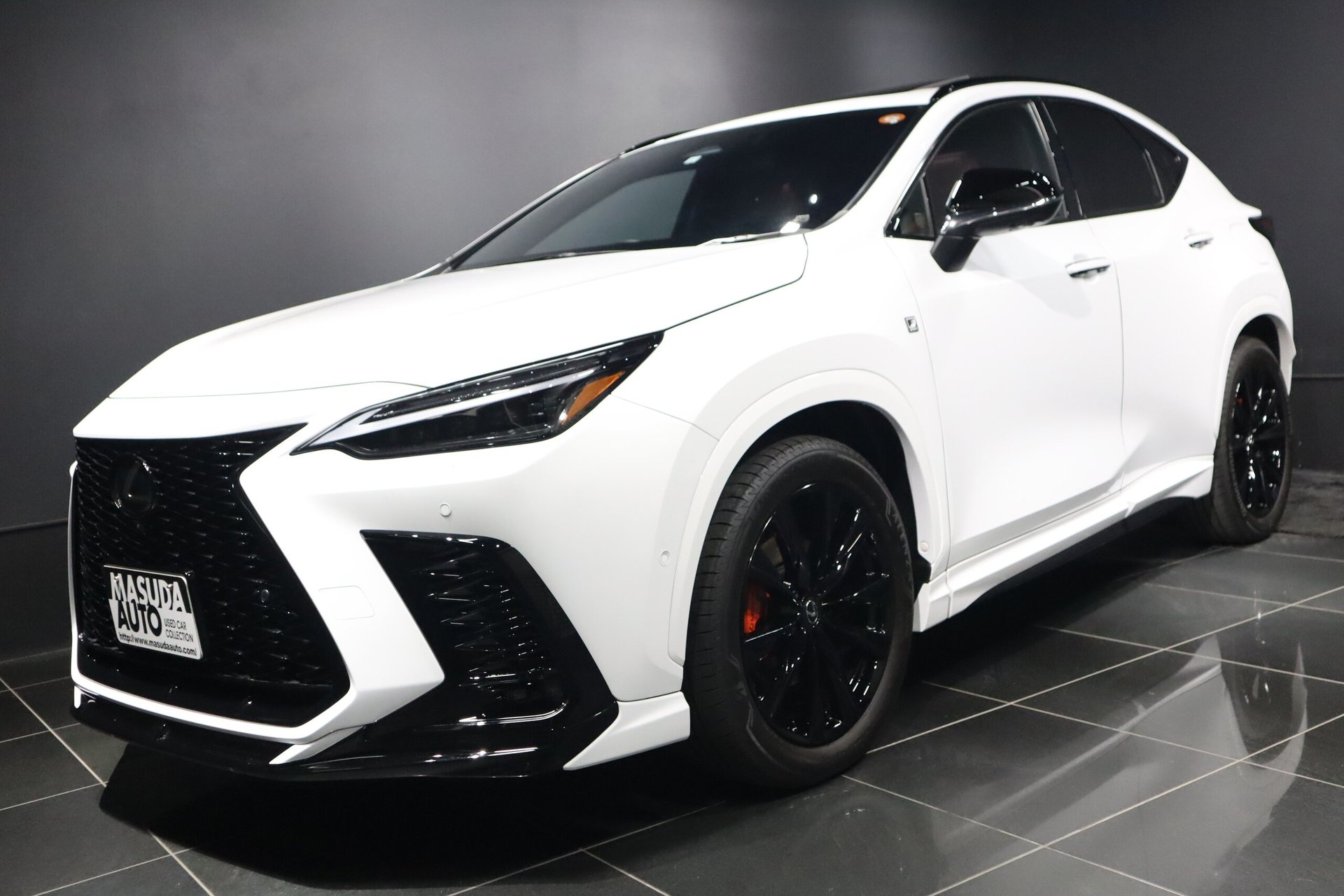 LEXUS NX - View 1