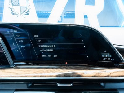 2022 Cadillac ESCALADE 缩略图 19