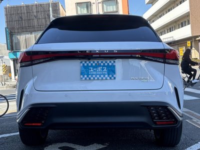 LEXUS RX - 10