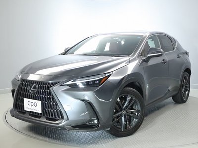 LEXUS NX - 10
