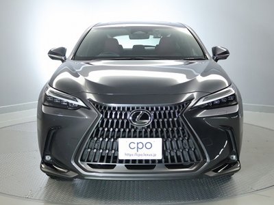 2023 Lexus NX 缩略图 14