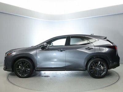 2023 Lexus NX 缩略图 12