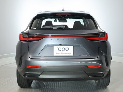 2023 Lexus NX 缩略图 15