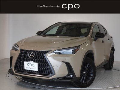 LEXUS NX - 1